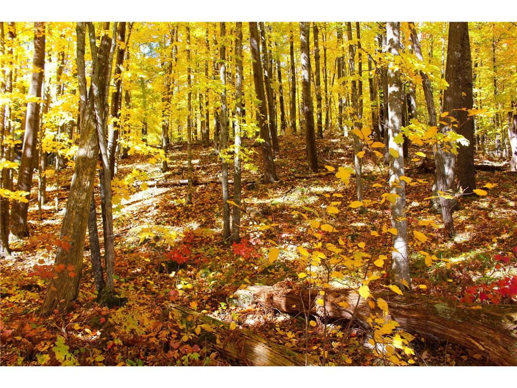 Lot 30 Deer Lake Lane, Meteor Twp, WI, 54835 MLS 6494663 Edina Realty