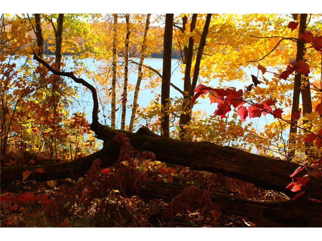 Lot 30 Deer Lake Lane, Meteor Twp, WI, 54835 MLS 6494663 Edina Realty