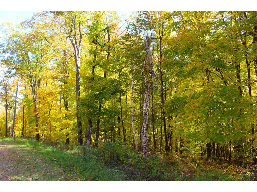 Lot 30 Deer Lake Lane, Meteor Twp, WI, 54835 MLS 6494663 Edina Realty