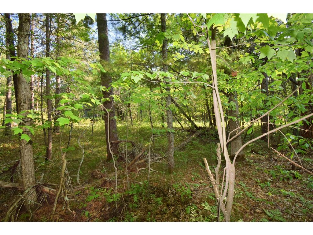 Lot 31 Setting Sun Trail Way Danbury WI 54830 7084946 image15