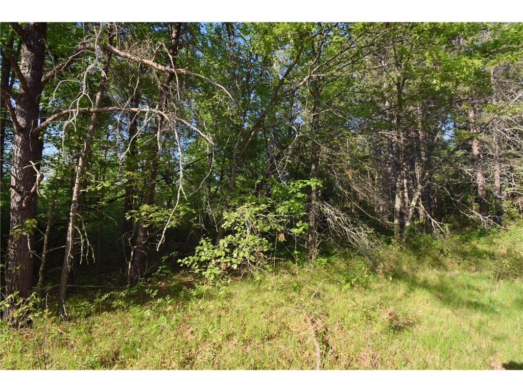 Lot 31 Setting Sun Trail Way Danbury WI 54830 7084946 image9