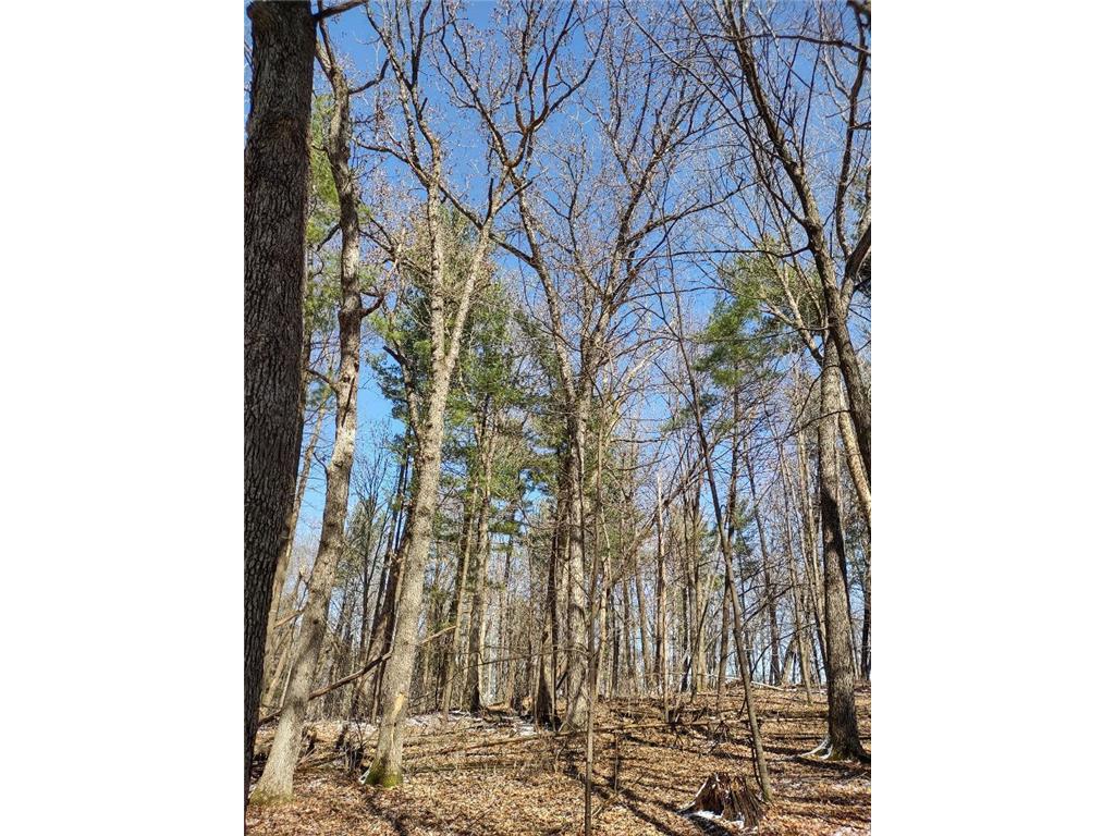 Lot 35 N4XX 297th Street Eau Galle WI 54737 6696821 image13