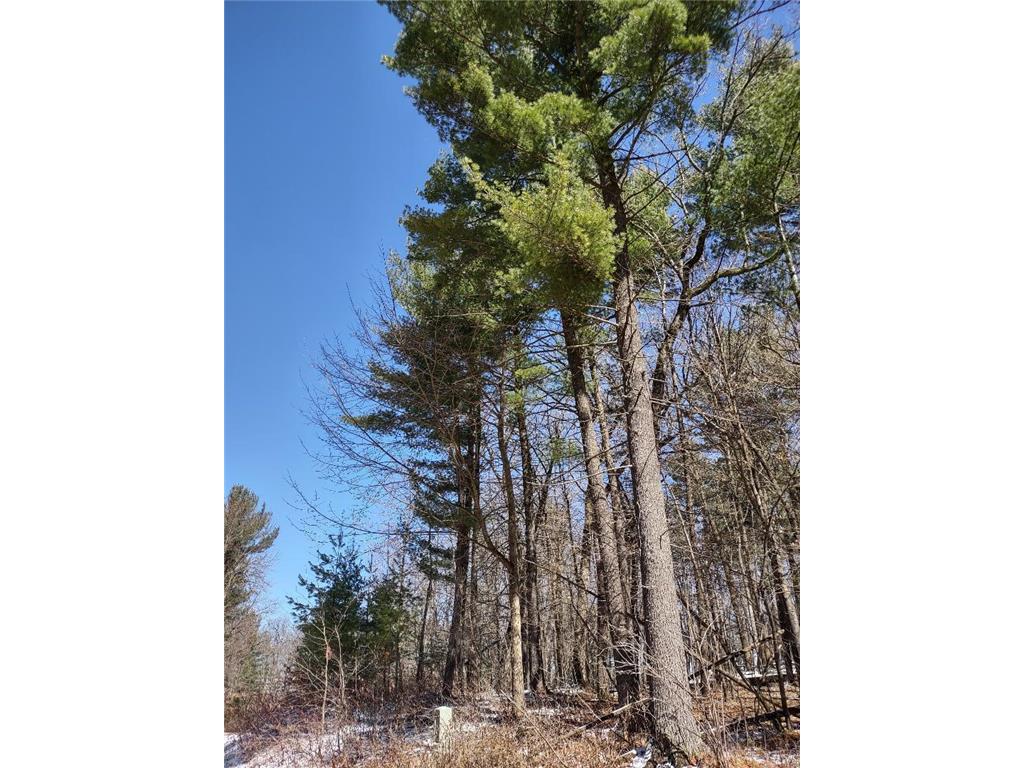 Lot 35 N4XX 297th Street Eau Galle WI 54737 6696821 image14