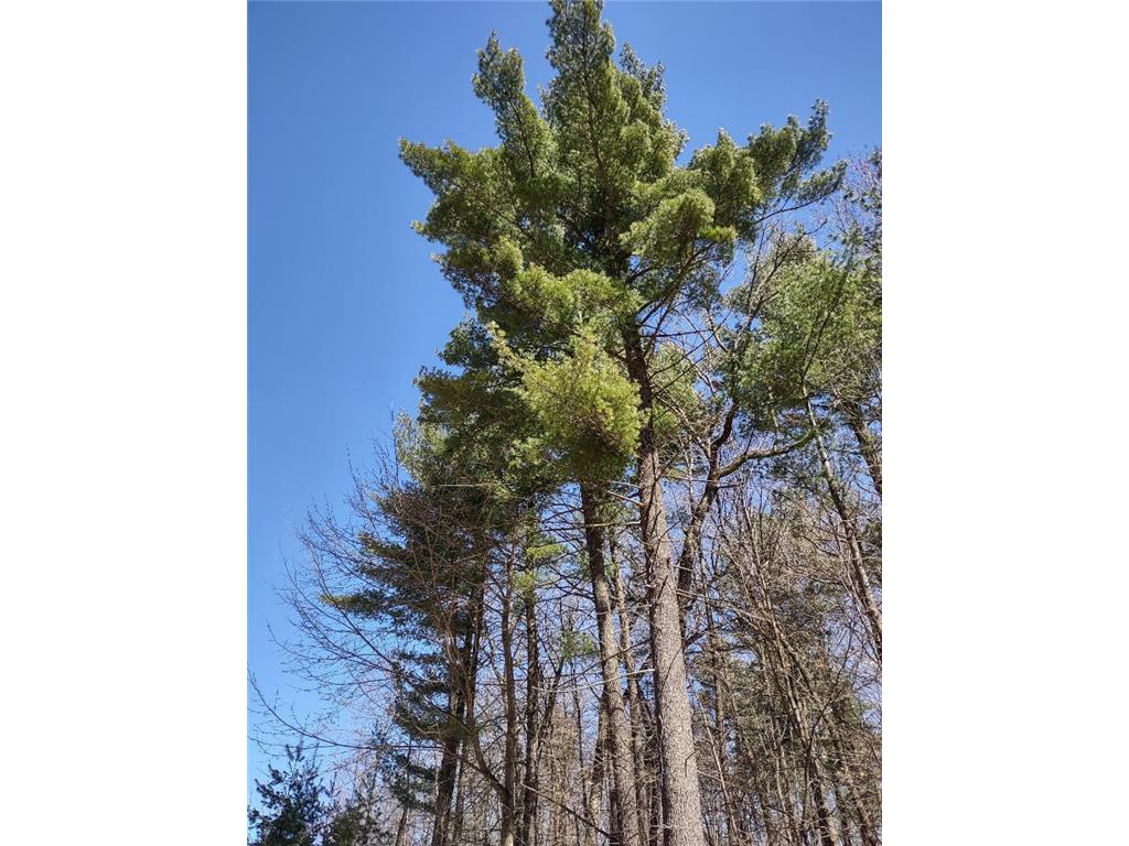 Lot 35 N4XX 297th Street Eau Galle WI 54737 6696821 image15