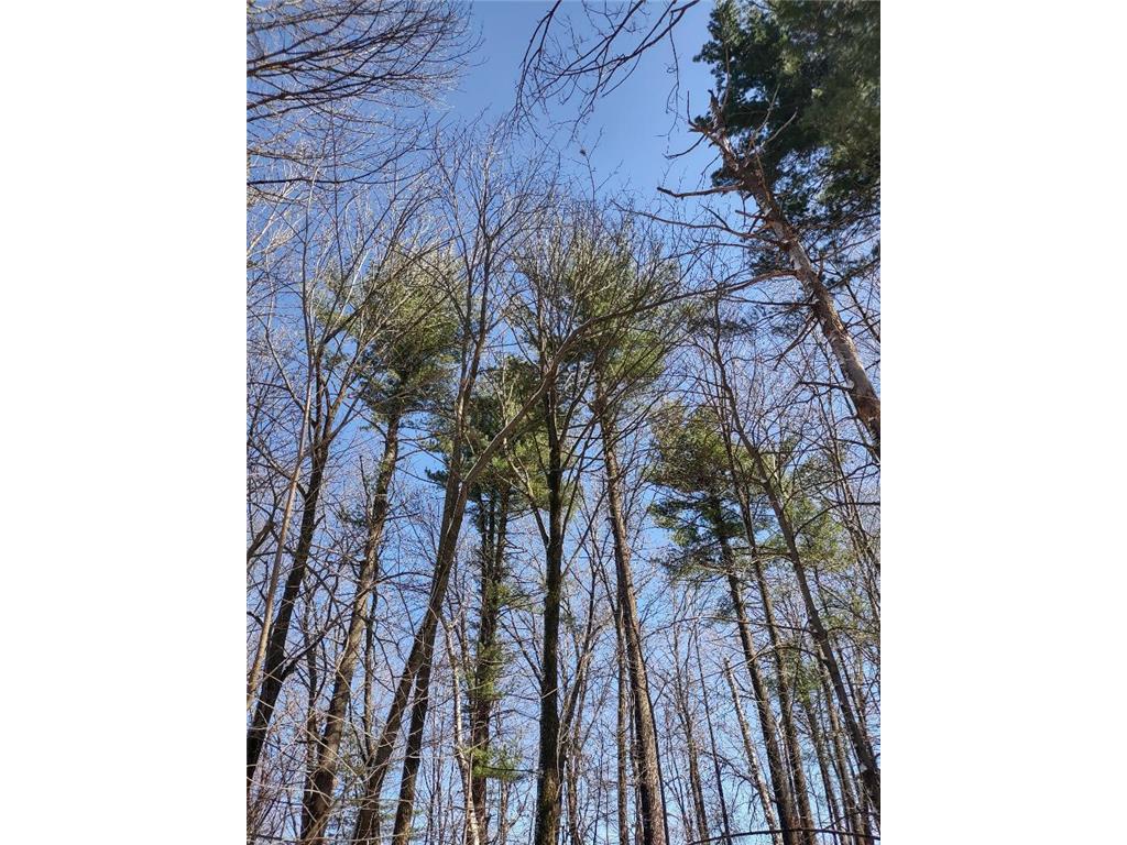 Lot 35 N4XX 297th Street Eau Galle WI 54737 6696821 image16