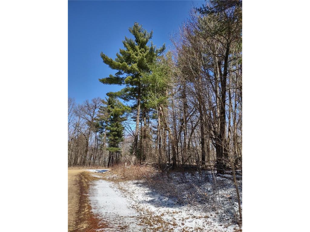 Lot 35 N4XX 297th Street Eau Galle WI 54737 6696821 image17