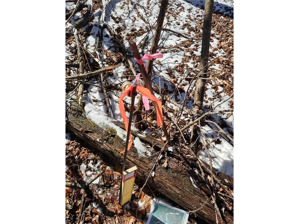 Lot 35 N4XX 297th Street Eau Galle WI 54737 6696821 image18