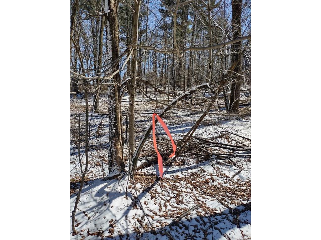 Lot 35 N4XX 297th Street Eau Galle WI 54737 6696821 image19
