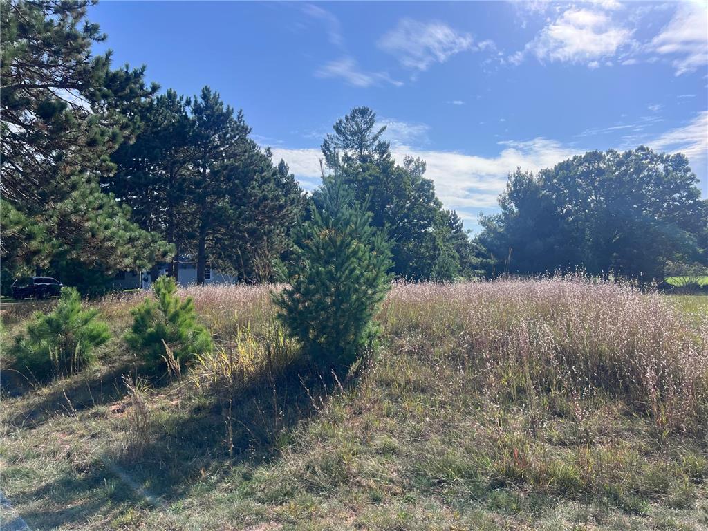 Lot 38 Meadow Green Road Danbury WI 54830 6797926 image4