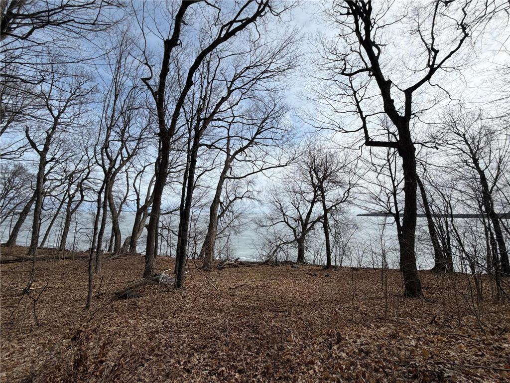 Lot 39&40 Earle Brown Drive Kathio Twp MN 56450 - Mille Lacs Lake 7033045 image3