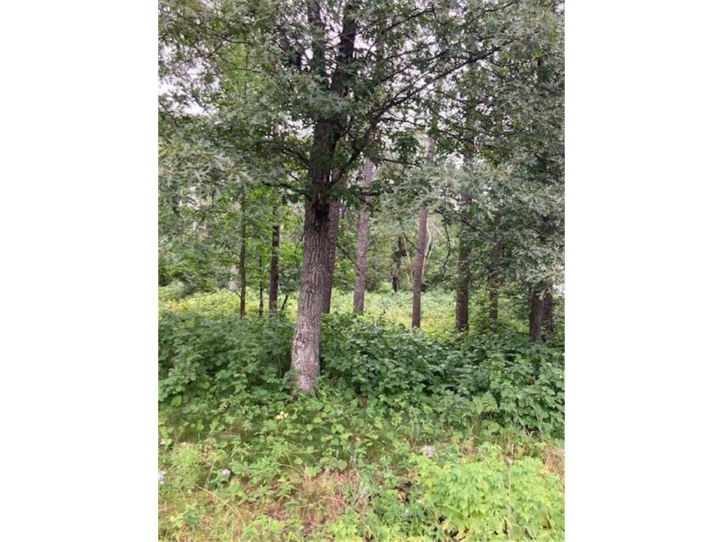 Lot 39 & 40 Owl Circle Breezy Point MN 56472 7054851 image1