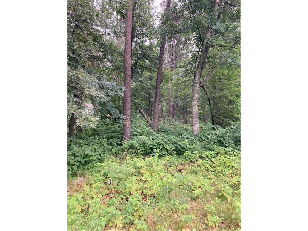 Lot 39 & 40 Owl Circle Breezy Point MN 56472 7054851 image2