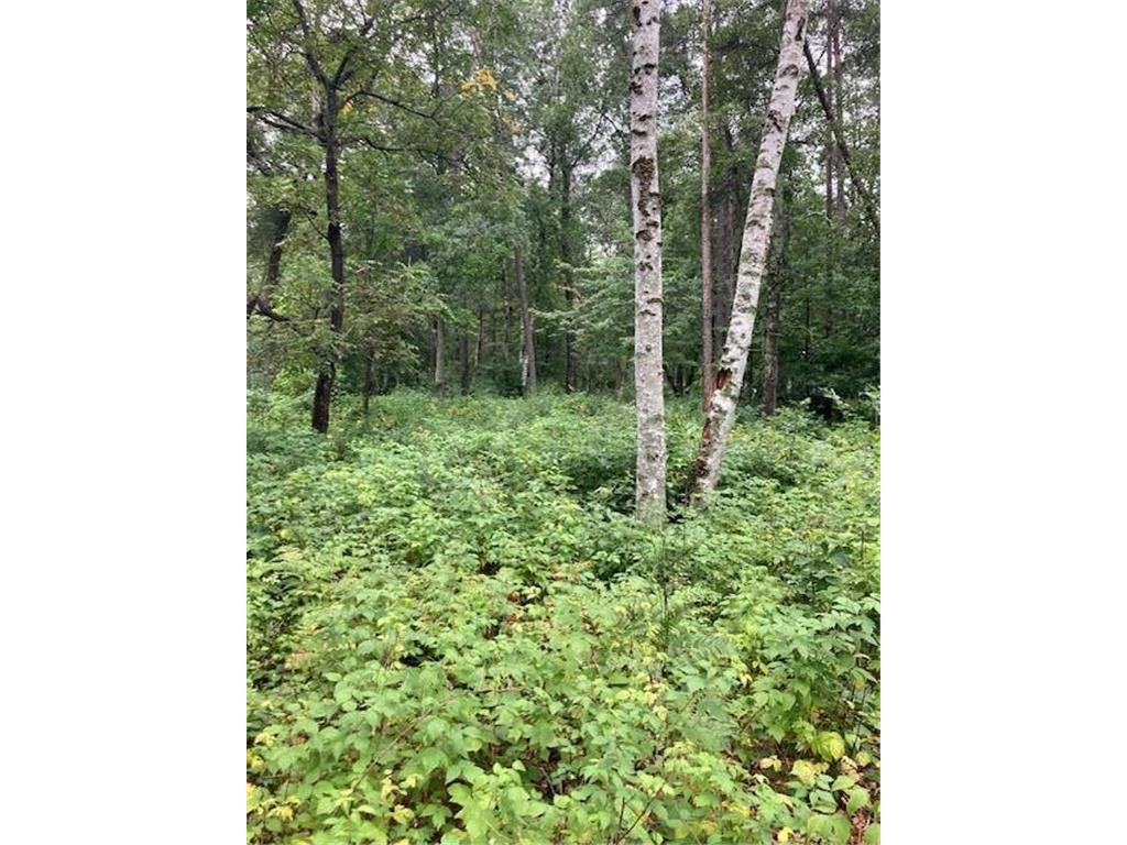 Lot 39 & 40 Owl Circle Breezy Point MN 56472 7054851 image3
