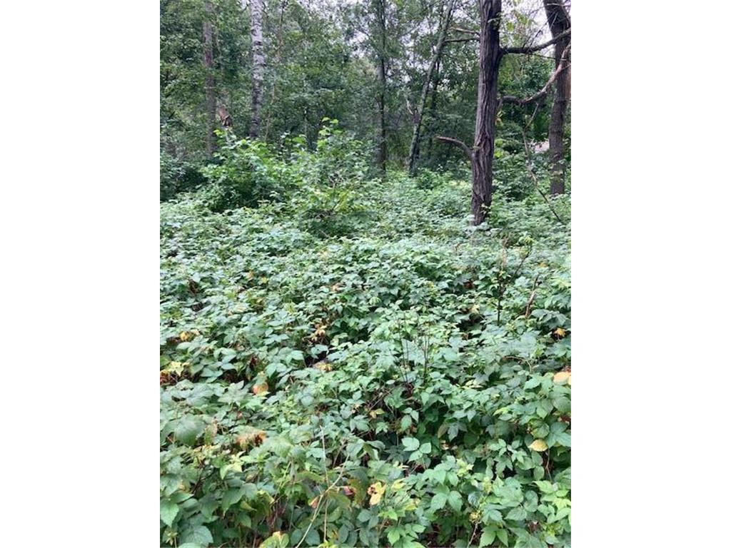 Lot 39 & 40 Owl Circle Breezy Point MN 56472 7054851 image4