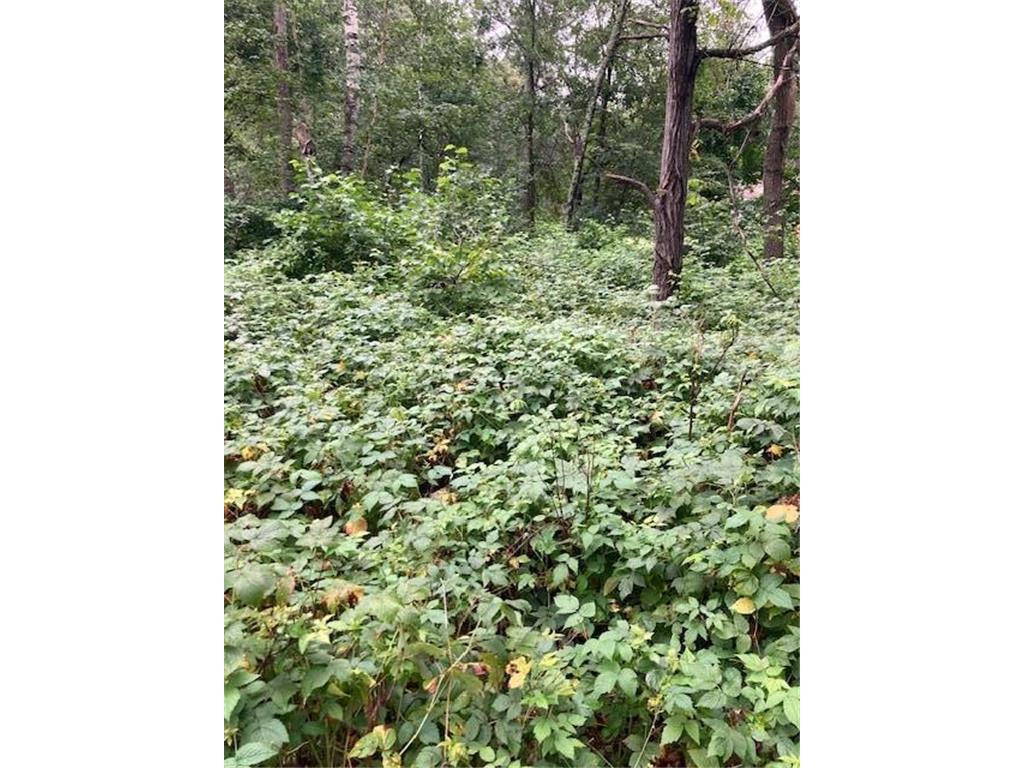 Lot 39 & 40 Owl Circle Breezy Point MN 56472 7054851 image5