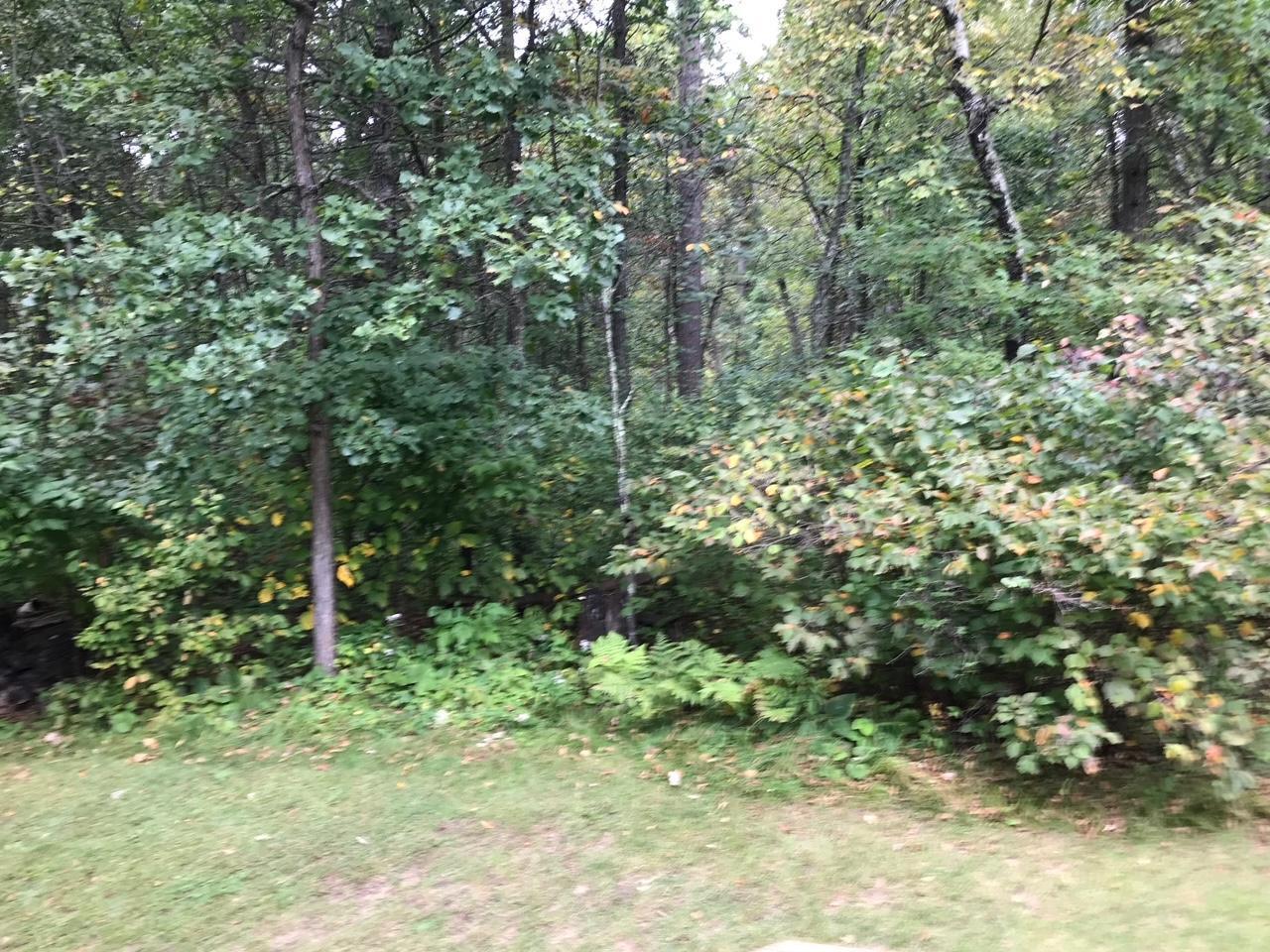 Lot 4 58th Street Pine River MN 56474 - Moose 5767603 image1