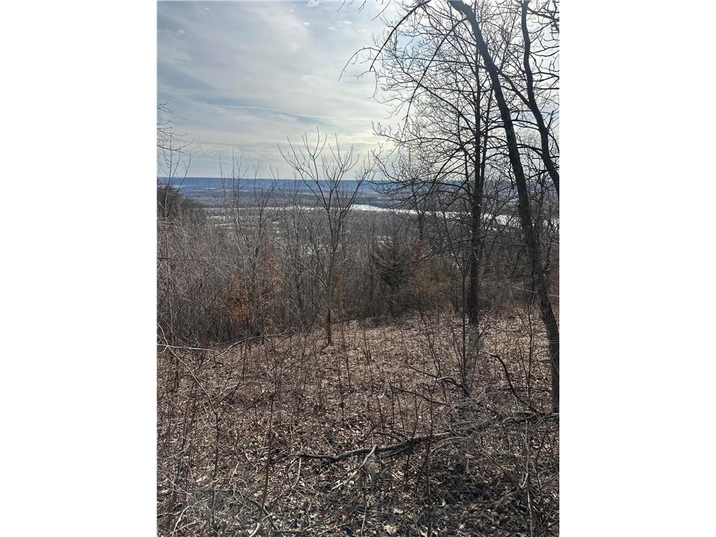 Lot 4 Alma Hills Alma WI 54610 - Mississippi 7044187 image20