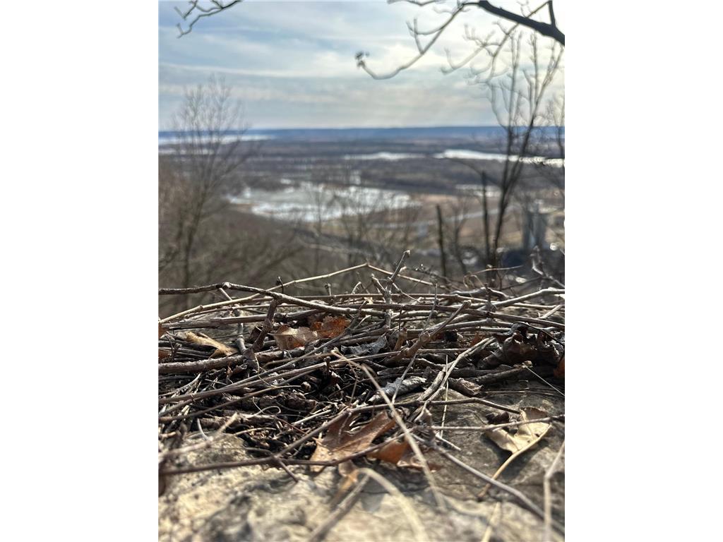 Lot 4 Alma Hills Alma WI 54610 - Mississippi 7044187 image21