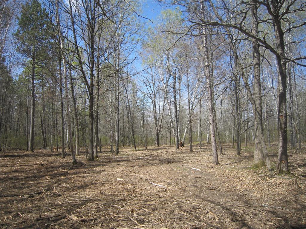 Lot 4 Pike Bay Loop NW Cass Lake MN 56633 7084251 image9