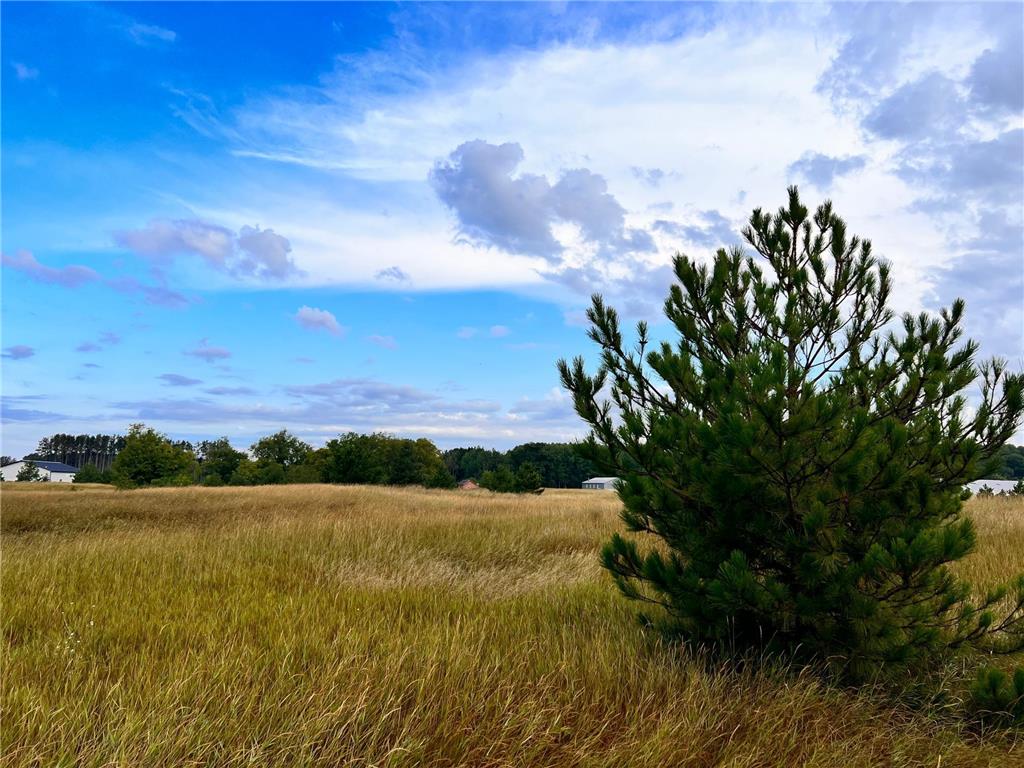 Lot 4 Anderson Boulevard Merrifield MN 56465 6249911 image1