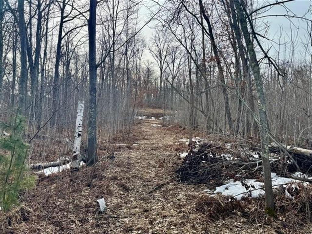 Lot 4 Blk 1 216th Place Mcgregor MN 55760 - Big Sandy 7042603 image4