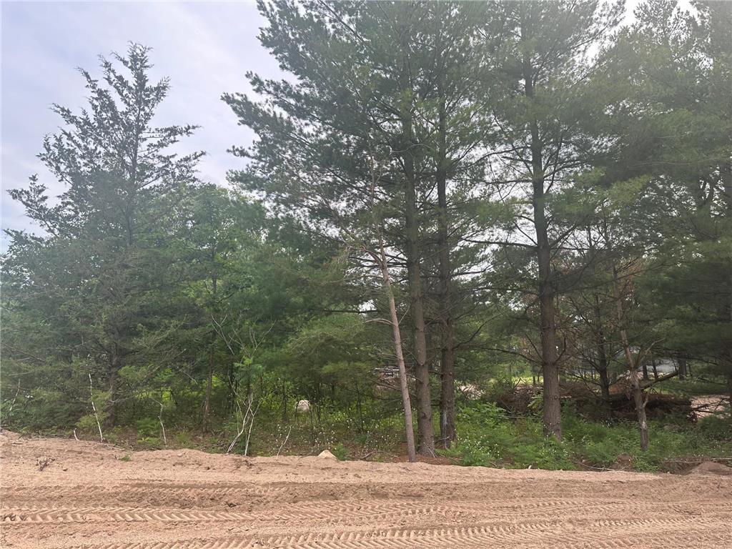 Lot 4 Blk 1 Ridgewood Drive Randall MN 56475 6593734 image1