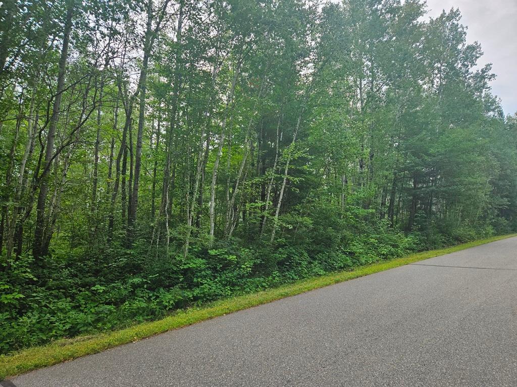 Lot 4 Blk 2 SW 1st Avenue Grand Rapids MN 55744 6767209 image5