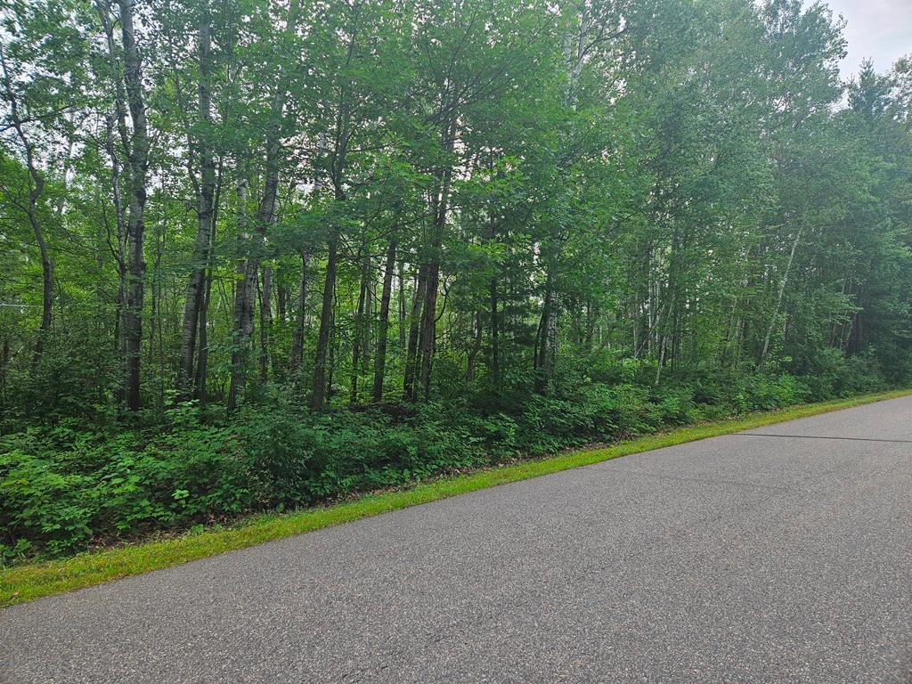 Lot 4 Blk 2 SW 1st Avenue Grand Rapids MN 55744 6767209 image7