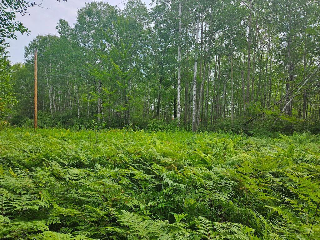 Lot 4 Blk 2 SW 1st Avenue Grand Rapids MN 55744 6767209 image8