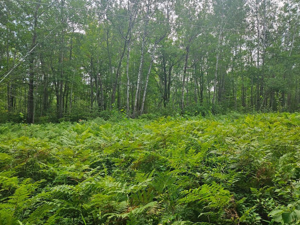 Lot 4 Blk 2 SW 1st Avenue Grand Rapids MN 55744 6767209 image9