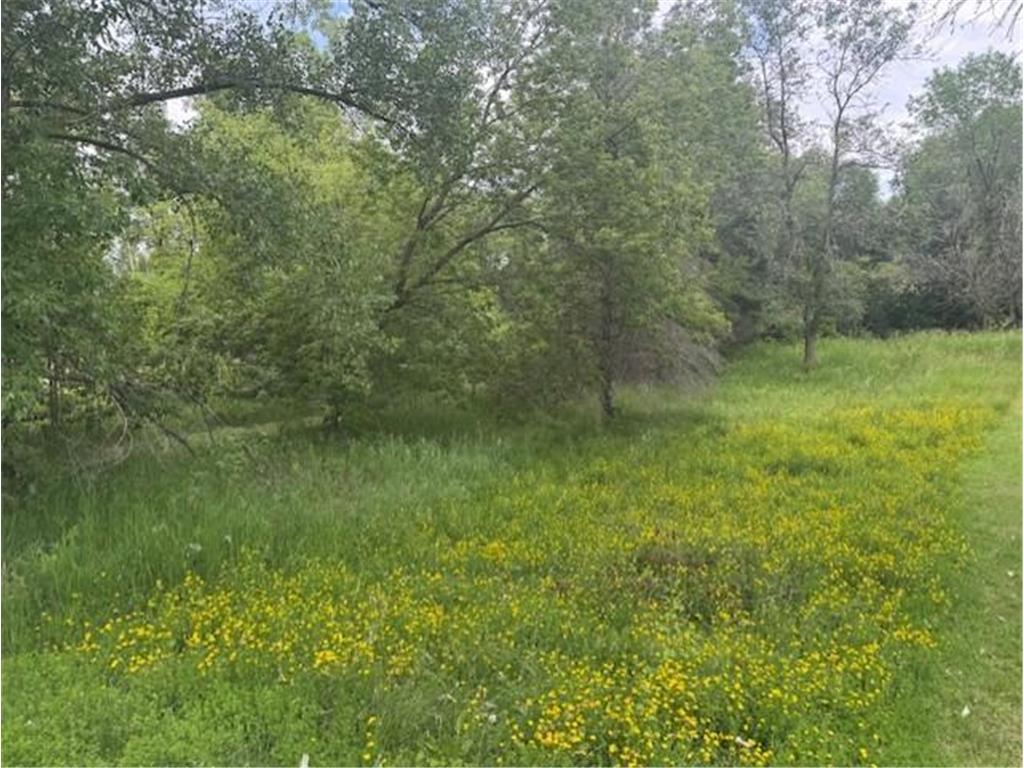Lot 4 Block 4 Circle Drive NW Ida Twp MN 56308 7105343 image2
