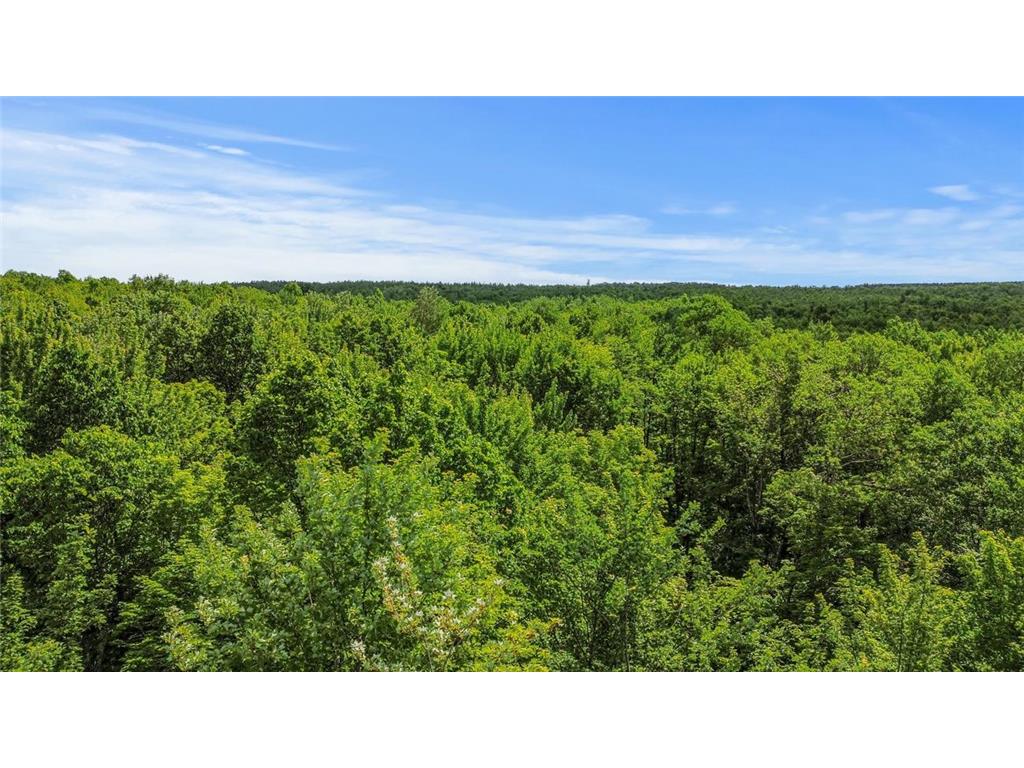 Lot 4 CSM 28/186 Radisson WI 54867 - Chippewa River 7085939 image12