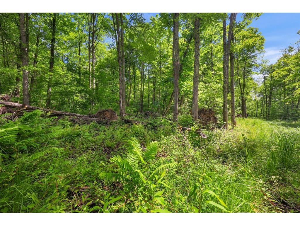 Lot 4 CSM 28/186 Radisson WI 54867 - Chippewa River 7085939 image15