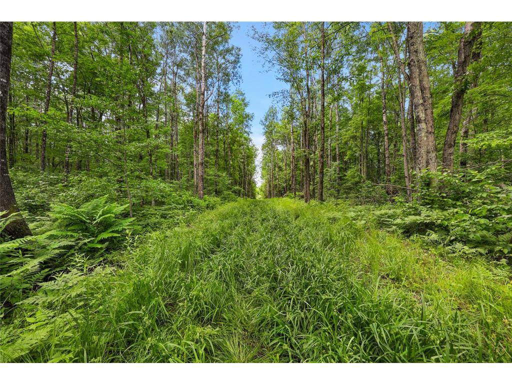 Lot 4 CSM 28/186 Radisson WI 54867 - Chippewa River 7085939 image16