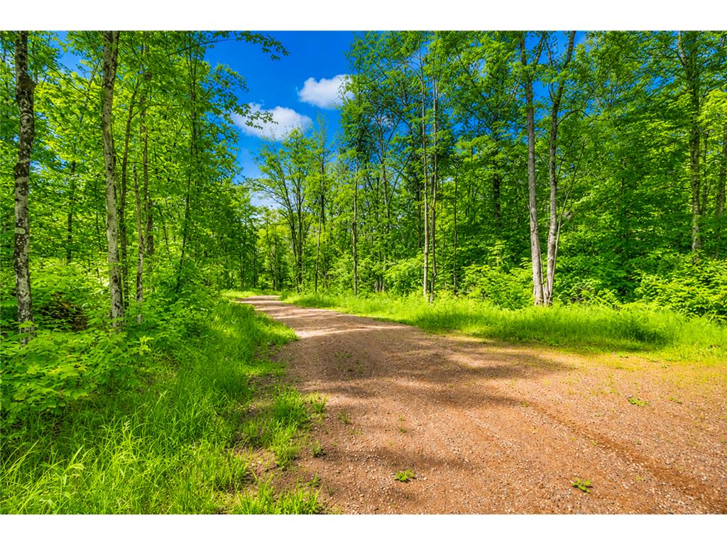 Lot 4 CSM 28/186 Radisson WI 54867 - Chippewa River 7085939 image4