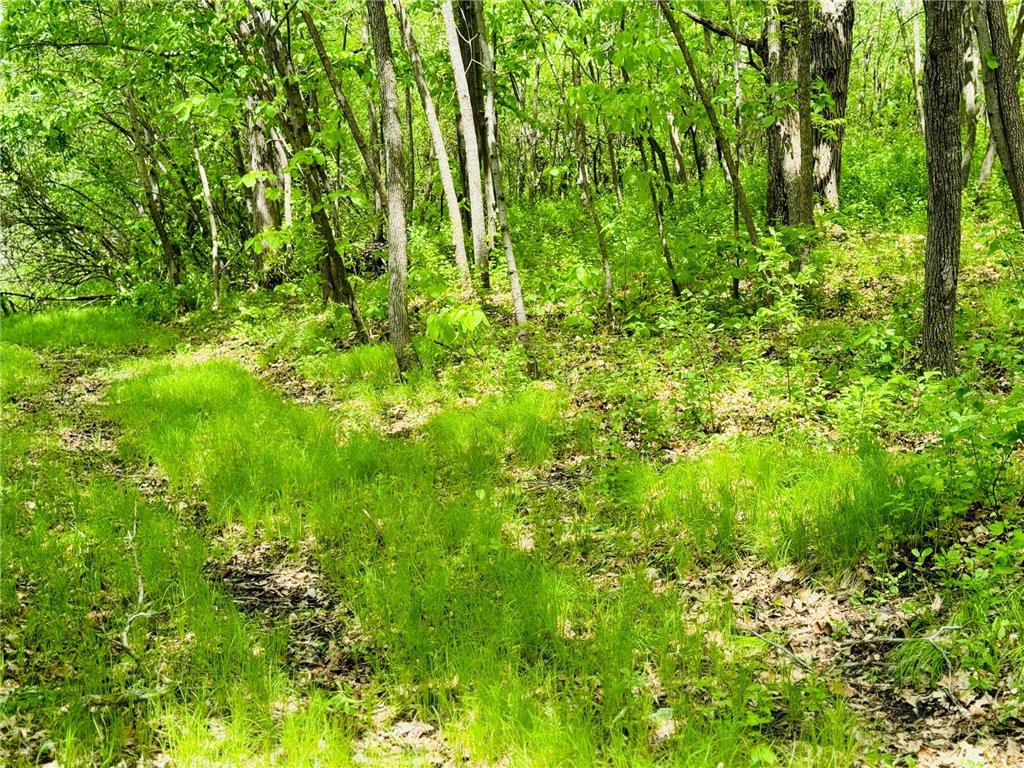 Lot 4 Canterbury Sands Trail Everts Twp MN 56515 7056572 image2