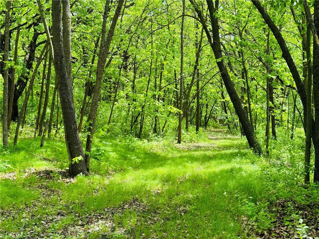Lot 4 Canterbury Sands Trail Everts Twp MN 56515 7056572 image3