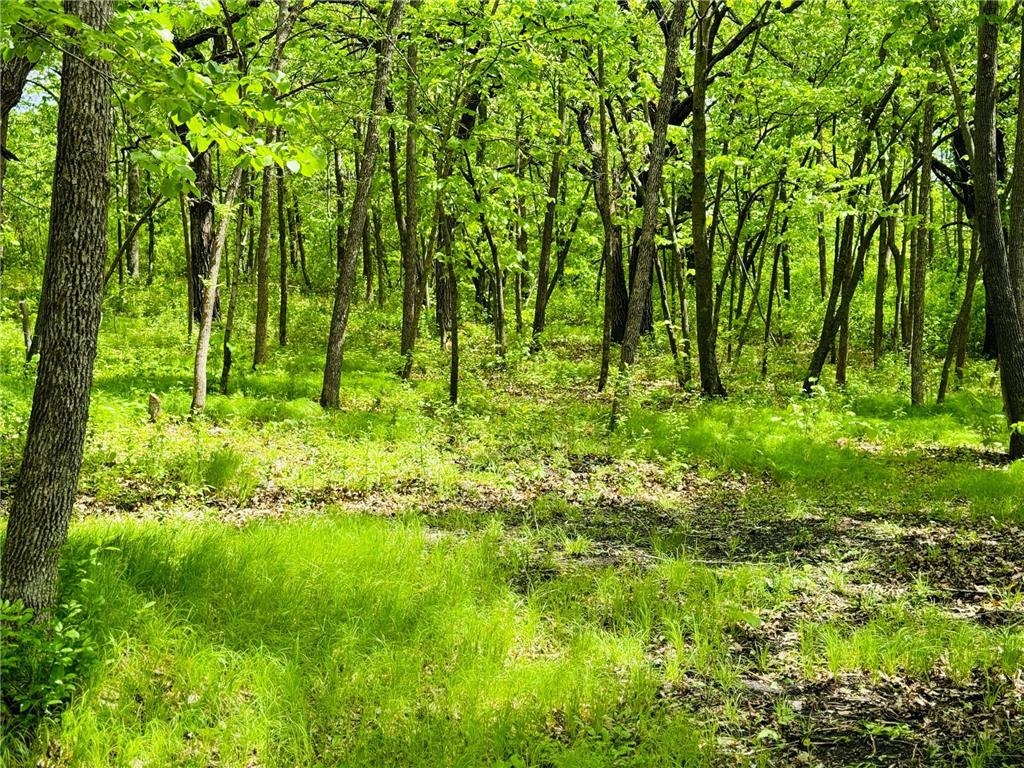 Lot 4 Canterbury Sands Trail Everts Twp MN 56515 7056572 image4