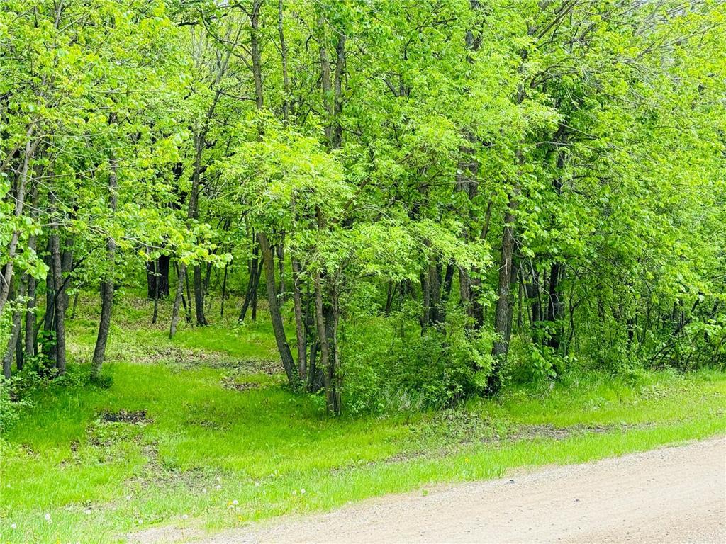 Lot 4 Canterbury Sands Trail Everts Twp MN 56515 7056572 image5