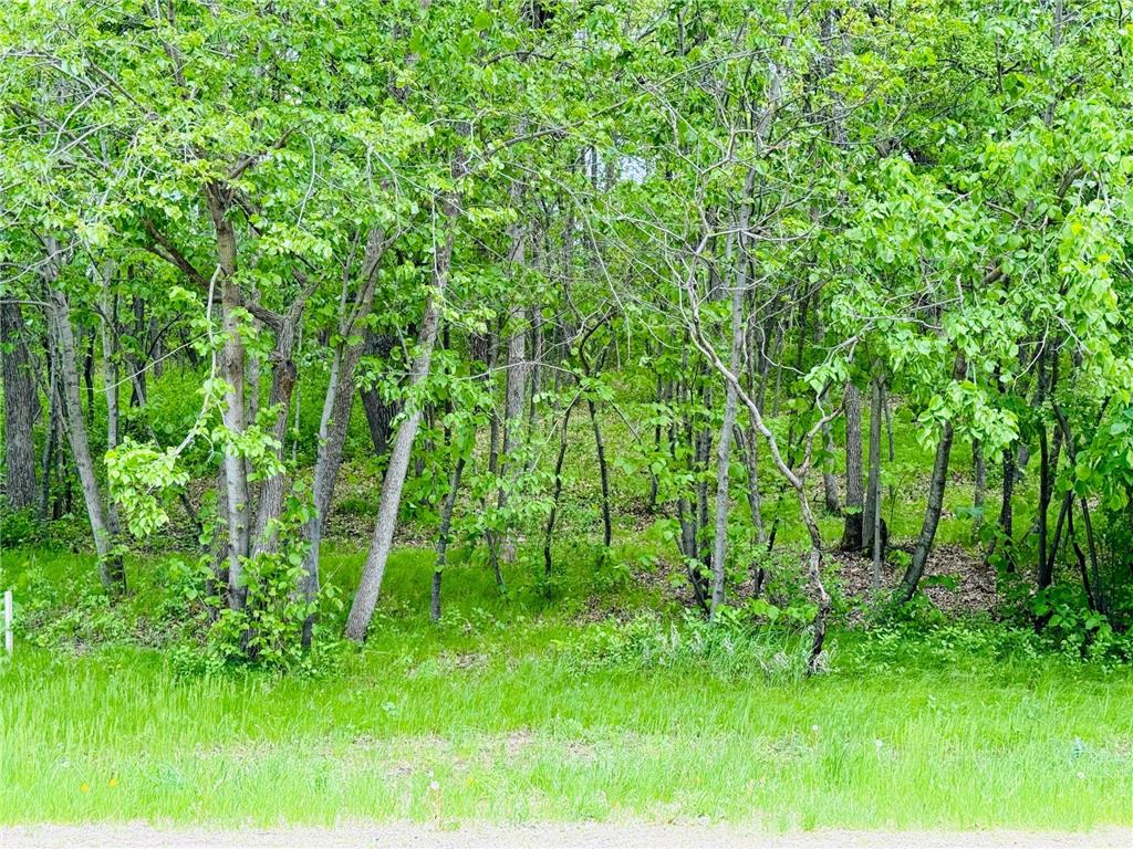 Lot 4 Canterbury Sands Trail Everts Twp MN 56515 7056572 image6
