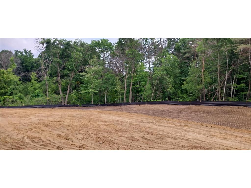 Lot 4 Dahlia Court Isanti MN 55040 6495338 image21