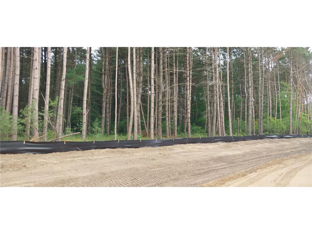 Lot 4 Dahlia Court Isanti MN 55040 6495338 image29