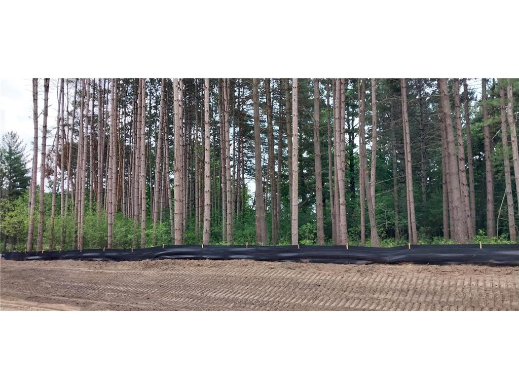 Lot 4 Dahlia Court Isanti MN 55040 6495338 image32