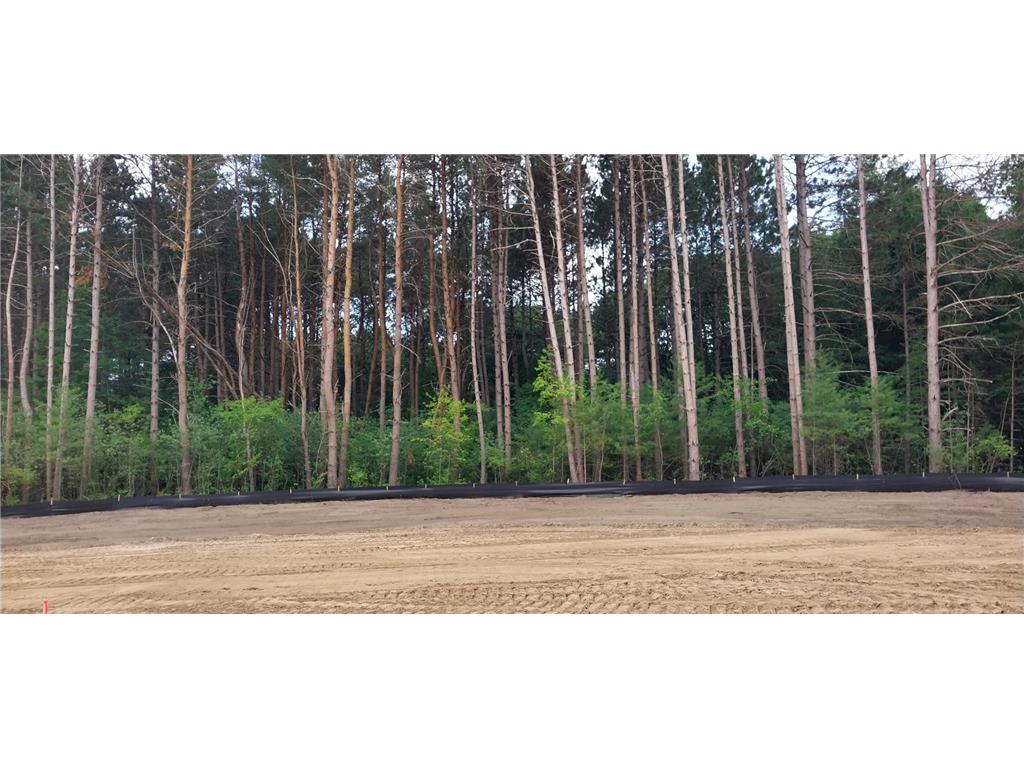 Lot 4 Dahlia Court Isanti MN 55040 6495338 image34