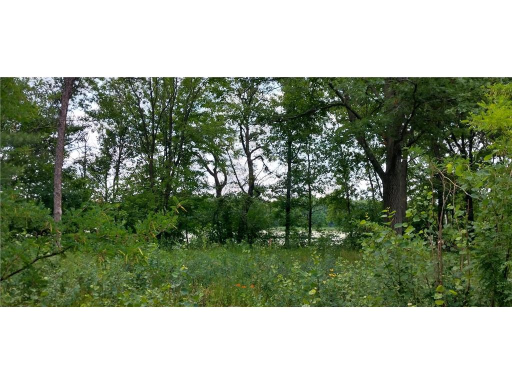 Lot 4 Dahlia Court Isanti MN 55040 6495338 image38