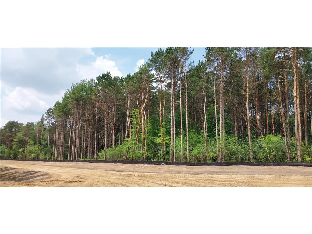 Lot 4 Dahlia Court Isanti MN 55040 6495338 image42