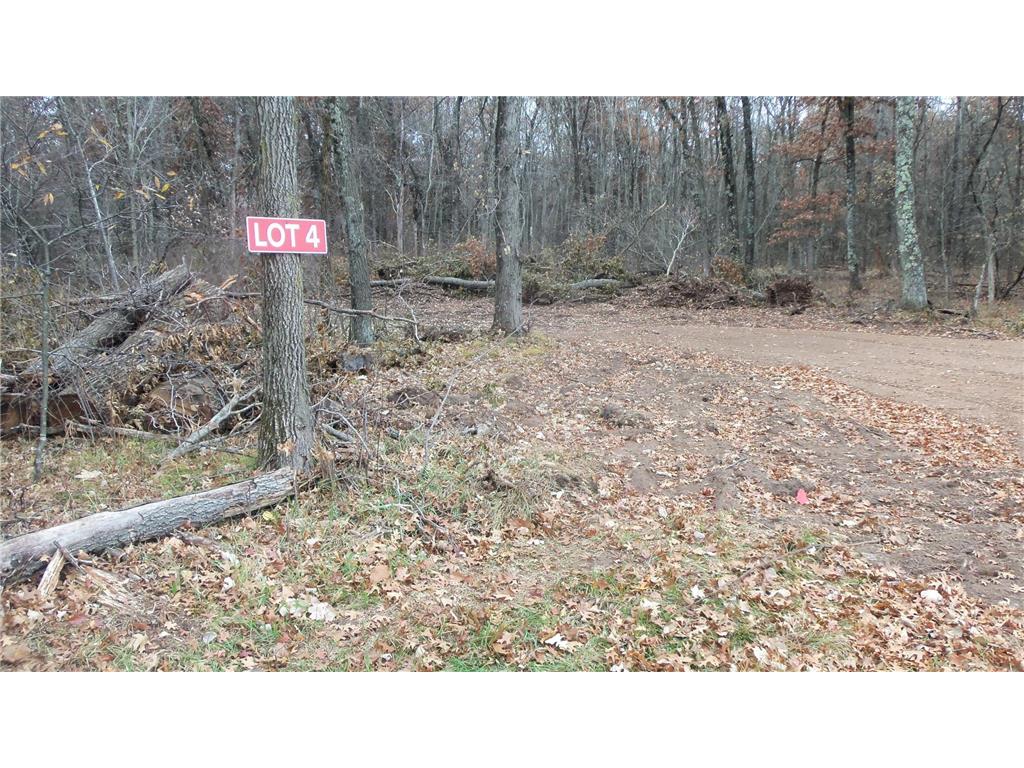 Lot 4 East River Rd Anderson Twp WI 54840 6814577 image10