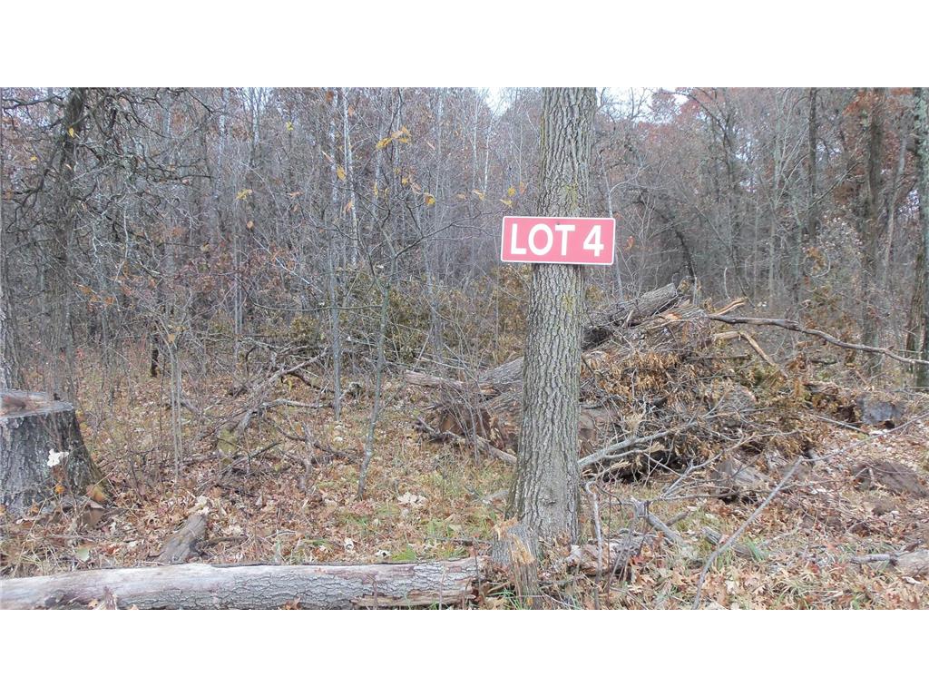 Lot 4 East River Rd Anderson Twp WI 54840 6814577 image11