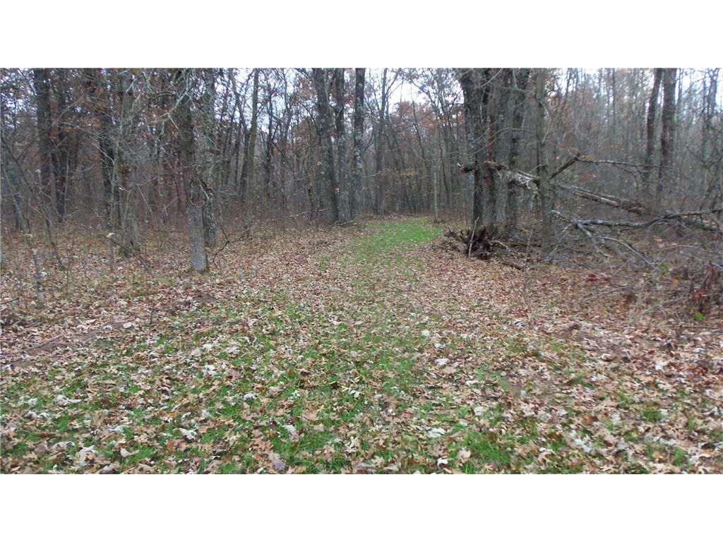 Lot 4 East River Rd Anderson Twp WI 54840 6814577 image14