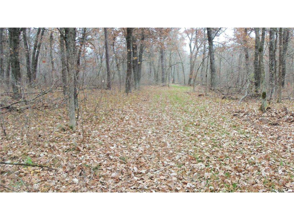 Lot 4 East River Rd Anderson Twp WI 54840 6814577 image16